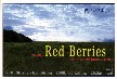 関しづよ展　「赤い実」Red Berries